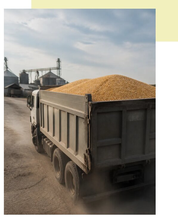 Перевозка сельхозпродукции навалом в Лесозаводск по цене от 3101 р. | Агросервис-Лсз