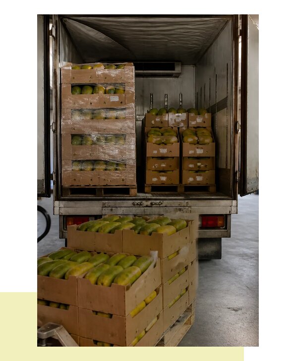 Перевозка свежей папайи с доставкой в Лесозаводск по всей России